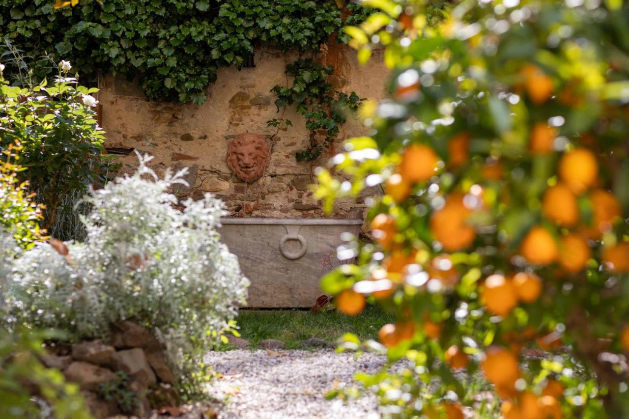 Secret Garden Firenze B&B Buitenkant foto