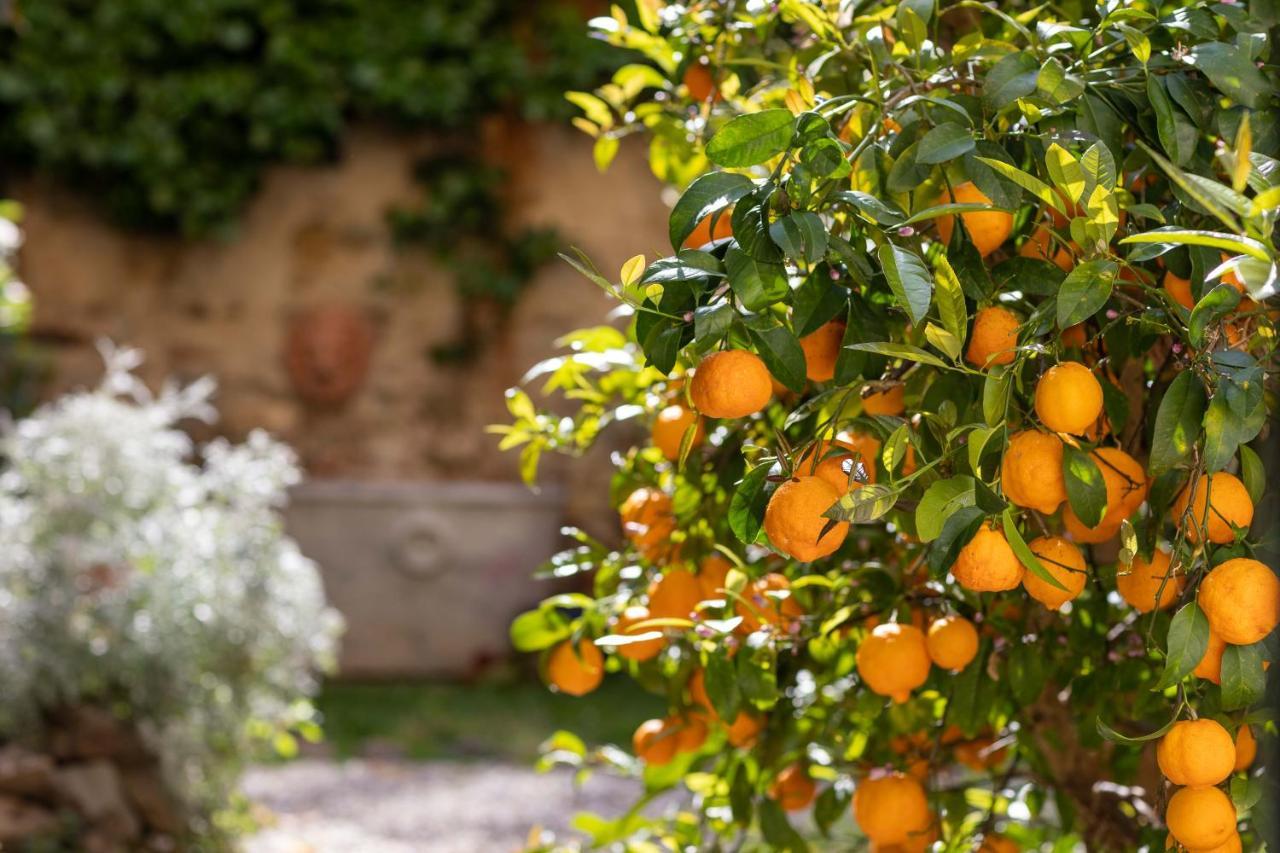 Secret Garden Firenze B&B Buitenkant foto