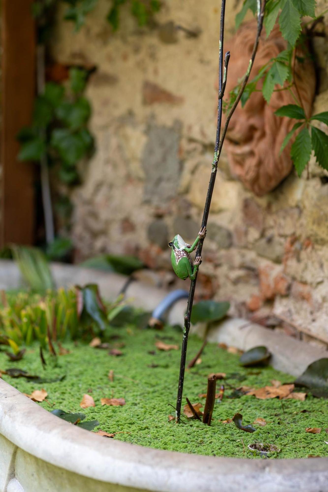 Secret Garden Firenze B&B Buitenkant foto