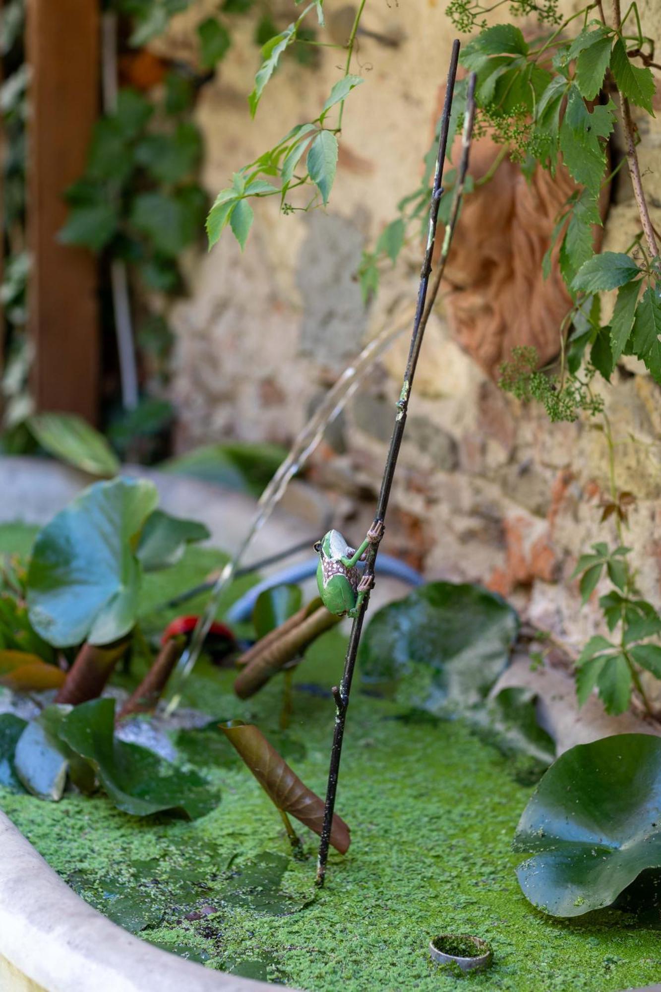 Secret Garden Firenze B&B Buitenkant foto